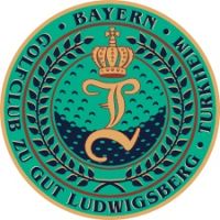 Gut